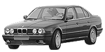 BMW E34 P2136 Fault Code